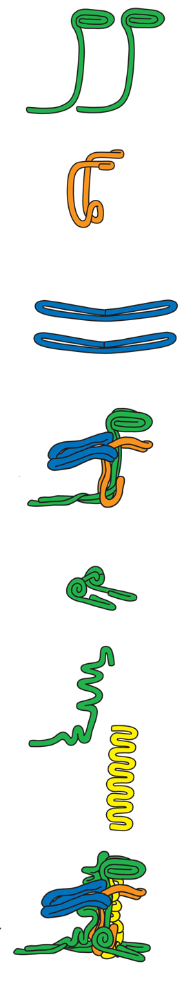 Illustrated 3-D Dragon Instructions
